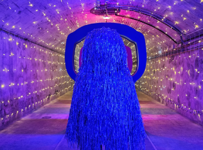 domaine vranken pommery visite champagne art christelle lefresne