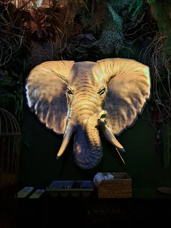 jungle palace restaurant ephemera christelle lefresne