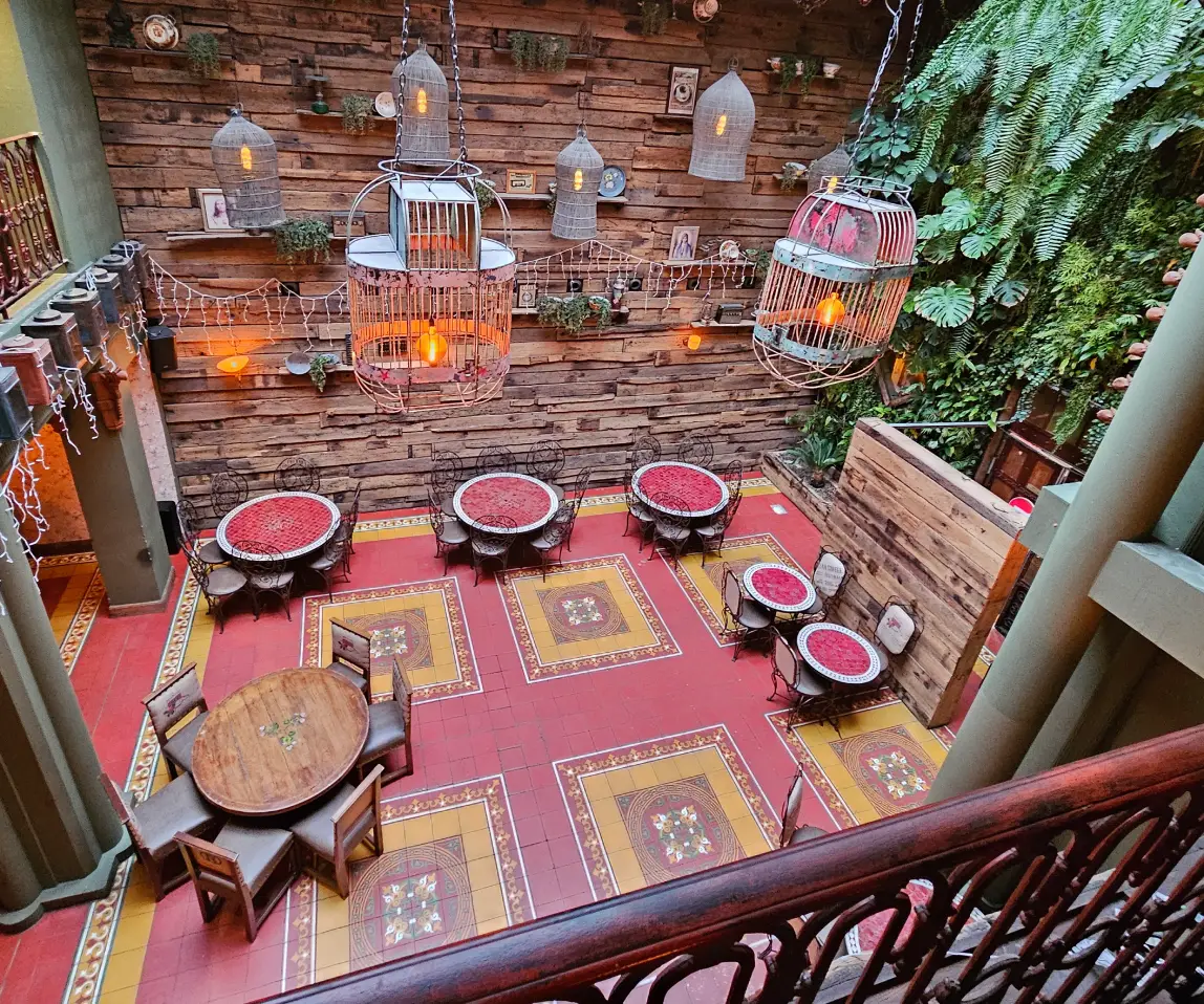 pachamama jardin d'hiver visite christelle lefresne (1)