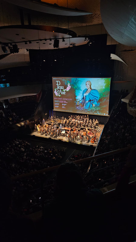peau d'âne philharmonie de paris ciné concert paris christelle lefresne