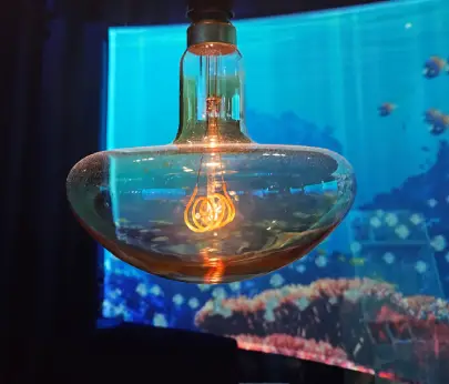 the sea ephemera restaurant christelle lefresne