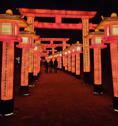 le japon en lumière visite christelle lefresne (4)