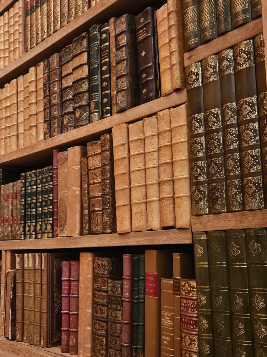 assemblée nationale bibliothèque visite paris christelle lefresne (6)