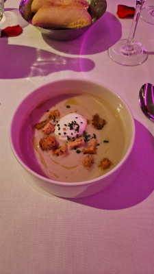 bâteau lyonnais hermès ii croisière lyon intérieur christelle lefresne (1)