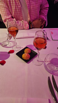 bâteau lyonnais hermès ii croisière lyon intérieur christelle lefresne