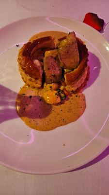 bâteau lyonnais hermès ii croisière lyon intérieur christelle lefresne (2)