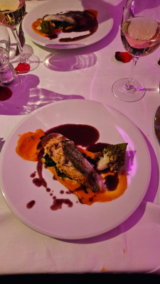 bâteau lyonnais hermès ii croisière lyon intérieur christelle lefresne (3)