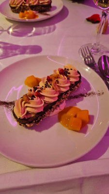 bâteau lyonnais hermès ii croisière lyon intérieur christelle lefresne (5)