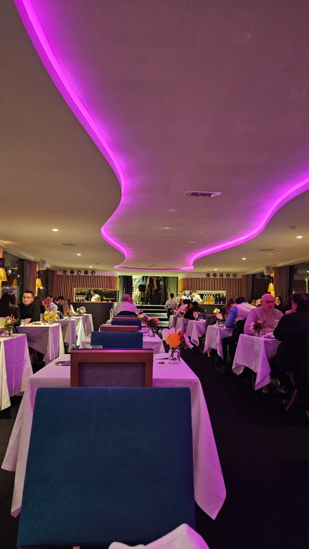 bâteau lyonnais hermès ii croisière lyon intérieur christelle lefresne