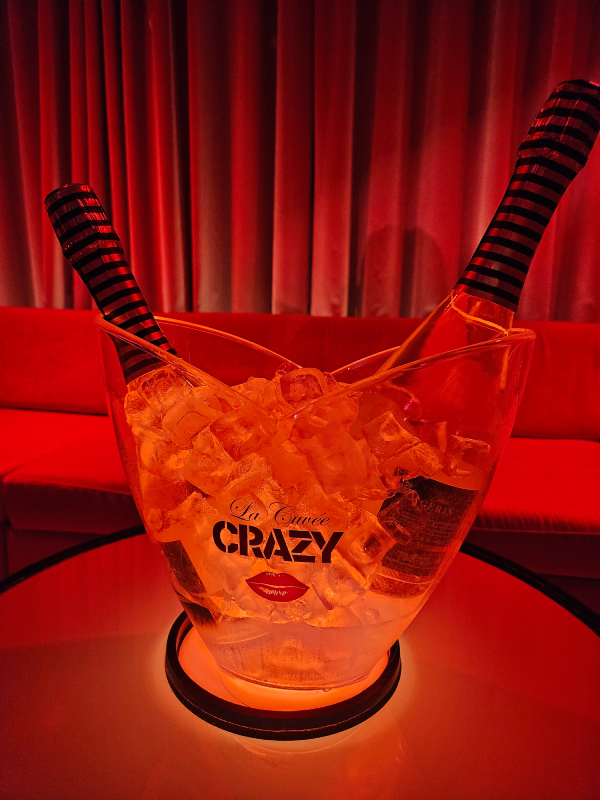 crazy horse spectacle totaly crazy danse christelle lefresne (2)