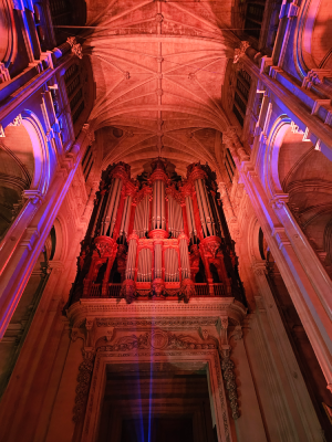 eglise st eustache paris luminiscence christelle lefresne (1)