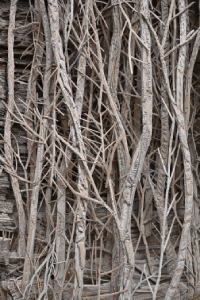 eva jospin grand palais exposition paris christelle lefresne (2)