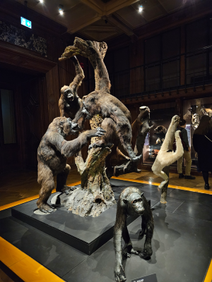 grande galerie de l'évolution paris animaux évolution biodiversité christelle lefresne (1)