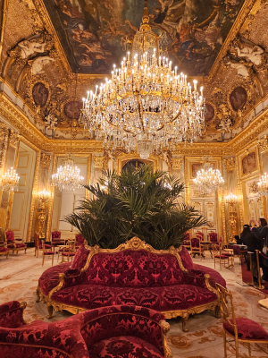 louvre expositions permanentes visite appartement napoléon iii christelle lefresne
