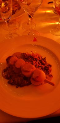 moulin rouge cabaret spectacles paris mytique pigalle christelle lefresne (7)