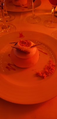 moulin rouge cabaret spectacles paris mytique pigalle christelle lefresne (8)