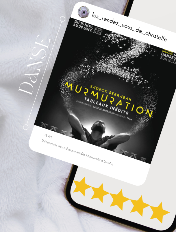 murmuration level 2 sadeck berracbah notation christelle lefresne