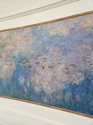 musée de l'orangerie visite exposition permanente paris christelle lefresne (1)