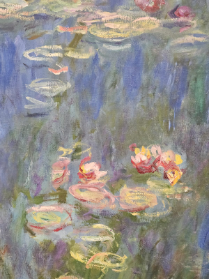 musée de l'orangerie visite exposition permanente paris notation christelle lefresne (1)