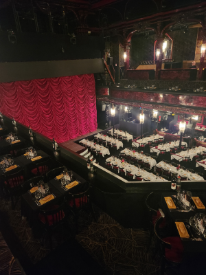 paradis latin danse spectacles paris cabaret christelle lefresne (1)