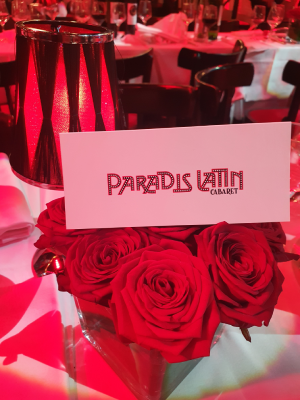 paradis latin danse spectacles paris cabaret christelle lefresne (3)