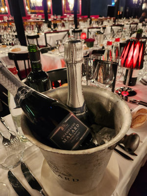 paradis latin danse spectacles paris cabaret christelle lefresne (8)