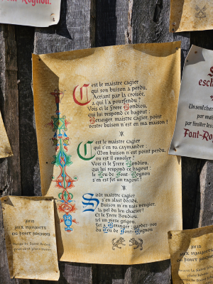 puy du fou parc d'attractions histoire spectacles vendée christelle lefresne (6)