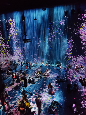 team lab grande halle de la villette expérience immersive paris expérience christelle lefresne (1)