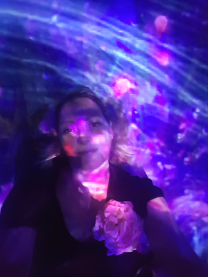 team lab grande halle de la villette expérience immersive paris expérience christelle lefresne (2)