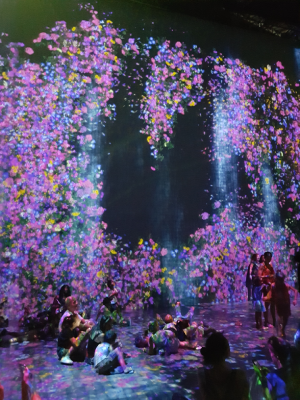 team lab grande halle de la villette expérience immersive paris expérience christelle lefresne (3)