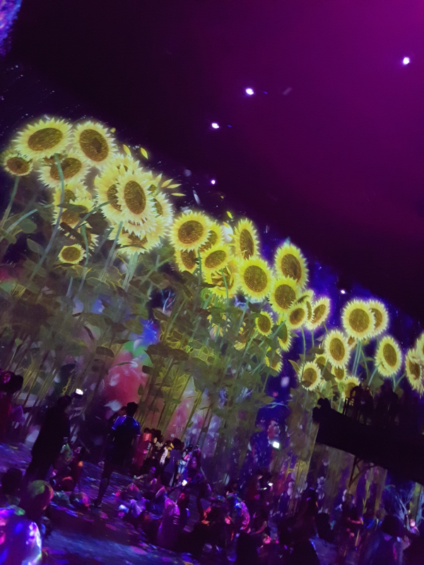 team lab grande halle de la villette expérience immersive paris expérience christelle lefresne