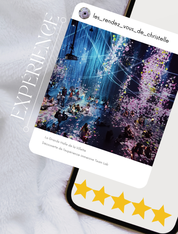 team lab grande halle de la villette expérience immersive paris notation christelle lefresne