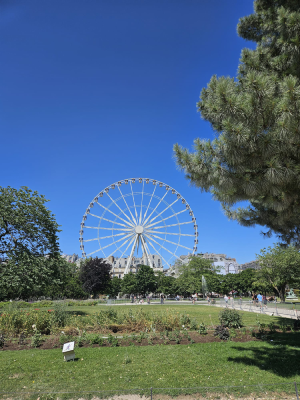 vasque olympique 2024 paris jardin des tuilleries christelle lefresne (6)