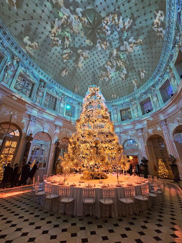 vaux le vicomte noel chateau visite décoration christelle lefresne