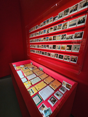 wes anderson cinémathéque exposition cinéma intérieur christelle lefresne (1)