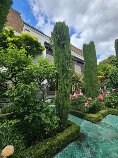 jardin de la mosquée de paris visite christelle lefresne (4)