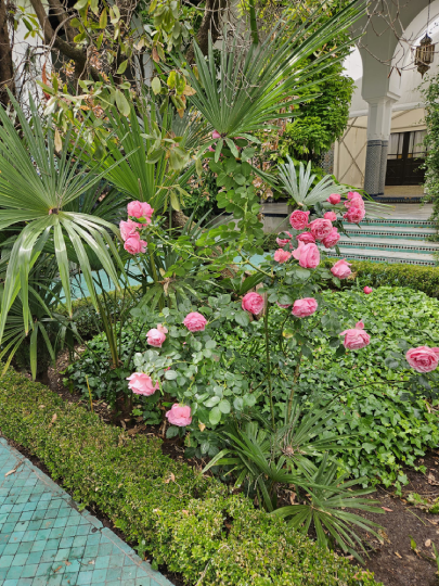 jardin de la mosquée de paris visite christelle lefresne