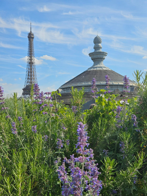 musée guimet visite paris rooftop détente christelle lefresne