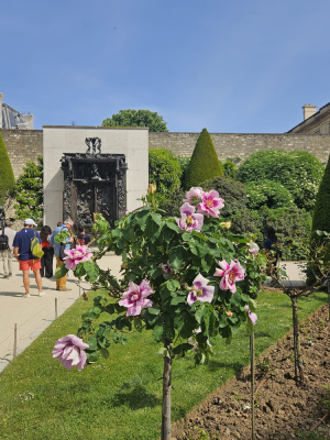 musée rodin paris jardin christelle lefresne (1)