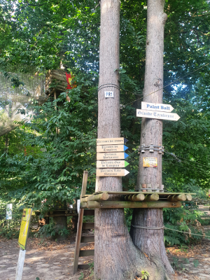 sherwood parc parc d'accrobranche arbre nature activités diverses oise christelle lefresne (2)