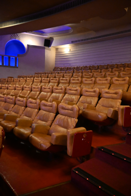 grand rex cinéma visite guidée paris sur le toit christelle lefresne (6)