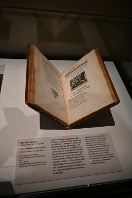 madame de sévigné musée carnavalet paris lettres parisiennes correspondances litterature christelle lefresne (12)
