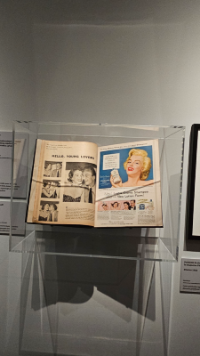 marilyn monroe exposition cinémathèque française paris magnifique icone christelle lefresne (11)