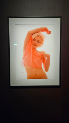 marilyn monroe exposition cinémathèque française paris magnifique icone christelle lefresne (21)