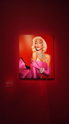 marilyn monroe exposition cinémathèque française paris magnifique icone christelle lefresne (23)