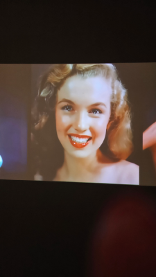 marilyn monroe exposition cinémathèque française paris magnifique icone christelle lefresne (3)