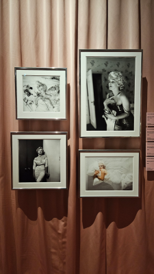 marilyn monroe exposition cinémathèque française paris magnifique icone christelle lefresne (9)