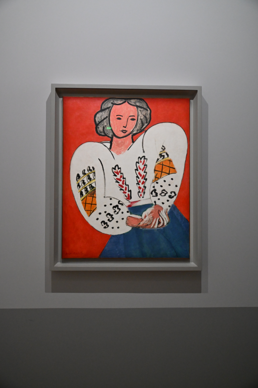 matisse grand palais peinture 1941 1954 oeuvres christelle lefresne (1)