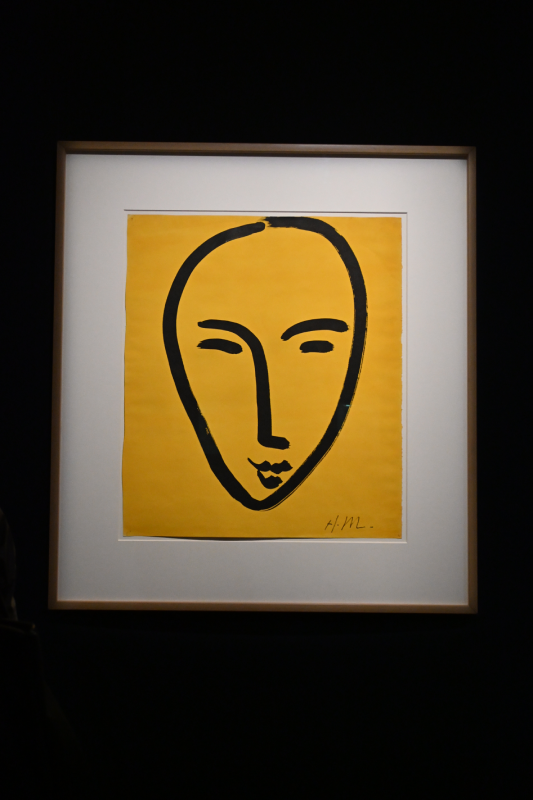 matisse grand palais peinture 1941 1954 oeuvres christelle lefresne (12)