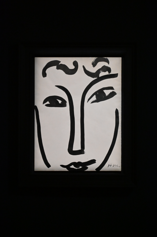 matisse grand palais peinture 1941 1954 oeuvres christelle lefresne (13)
